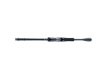 DAIWA - Prut Prorex AGS 2,7m, 14-42g, 2D