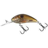 Salmo - Wobler Hornet sinking 2,5cm - Pearl shad