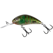 Salmo - Wobler Rattlin hornet Floating 6,5cm - Green gill clear