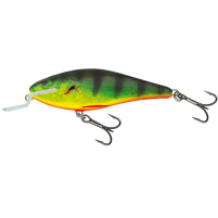 Salmo - Wobler Executor shallow runner 5cm - Real Hot Perch