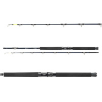 DAIWA - Tanacom Ultra Deep 2.10m 400-1000g 2D