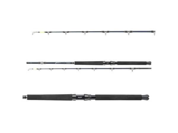 DAIWA - Tanacom Ultra Deep 2.10m 400-1000g 2D