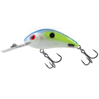 Salmo - Wobler Rattlin hornet Floating 5,5cm - Sexy shad