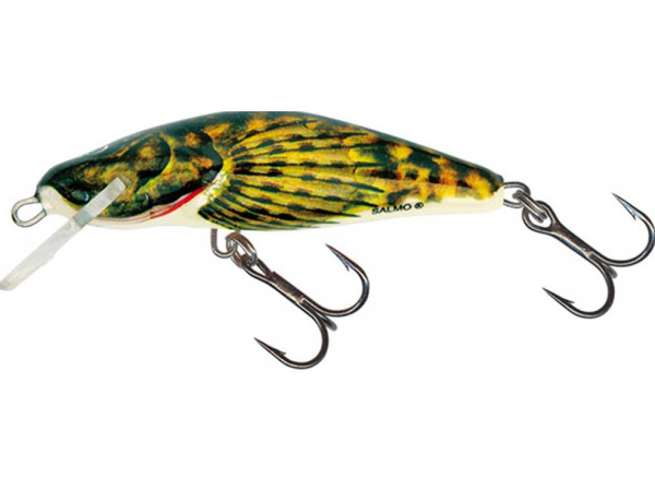 Salmo - Wobler Bullhead sinking 6cm