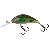 Salmo - Wobler Rattlin hornet Floating 5,5cm - Green gill clear