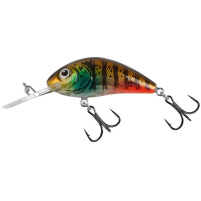 Salmo - Wobler Rattlin hornet Floating 6,5cm - Hot gill clear