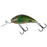 Salmo - Wobler Rattlin hornet Floating 4,5cm -  Green gill clear