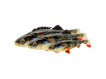 SAVAGE GEAR - Nástraha 4D Perch shad 12,5cm / 20g - Firetiger