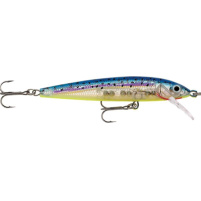 RAPALA - Wobrer Husky Jerk Suspending 10cm - GBM