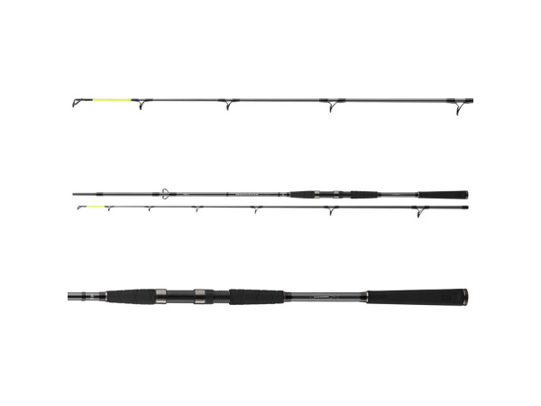 DAIWA - Prut Seahunter X, 2,60m, 60-180g, 2D