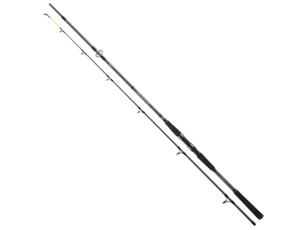 DAIWA - Prut Seahunter X, 2,60m, 60-180g, 2D