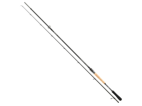 DAIWA - Prut Airity Hybrid, 2,45m, 7-35g, 2D