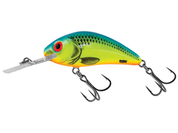 Salmo - Wobler Rattlin hornet Floating 5,5cm