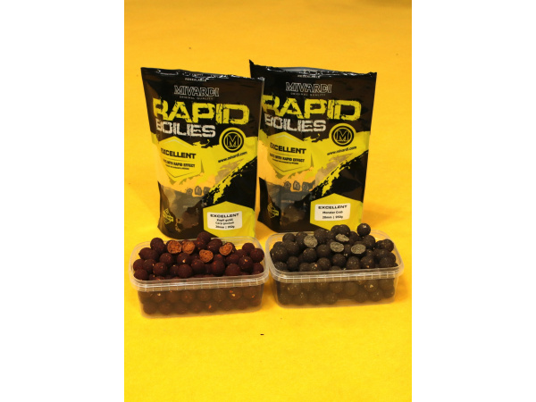 Rapid Excellent 24mm 3300g