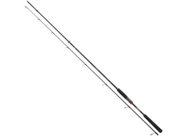 DAIWA - Prut Ballistic X Spin 2,4m, 10-40g, 2D