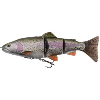 SAVAGE GEAR - Nástraha 4D Line thru trout 15cm / 35g - Rainbow