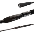 DAIWA - Prut Pro Staff 3m, 8-35g, 2D